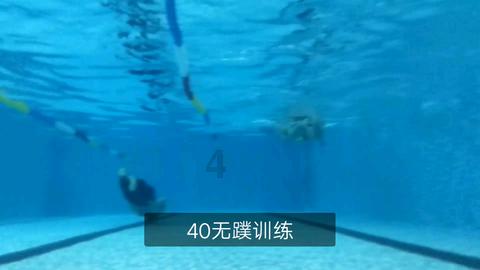 探索惠普打印机的扫描功能怎么用,红迪网平台带你畅游信息海洋!